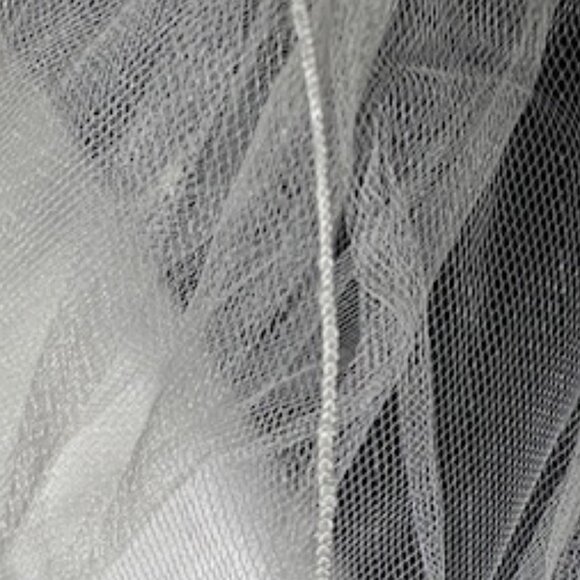 NWT Ivory Cathedral Veil w/ rhinestones main image 5